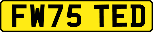 FW75TED