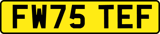 FW75TEF