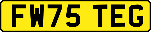 FW75TEG