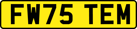 FW75TEM