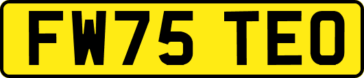 FW75TEO