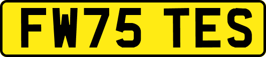 FW75TES