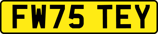 FW75TEY