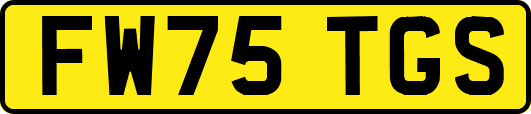 FW75TGS