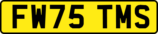 FW75TMS