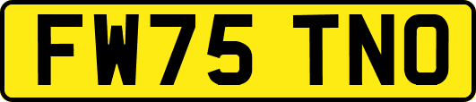 FW75TNO