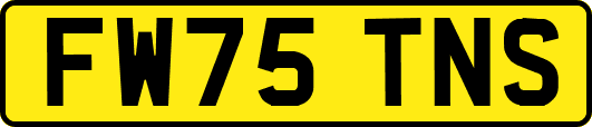 FW75TNS