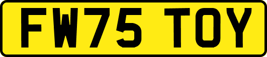 FW75TOY