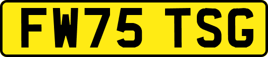 FW75TSG