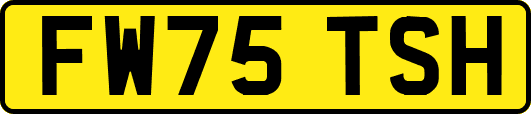 FW75TSH