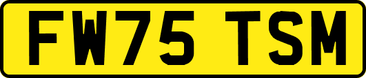 FW75TSM