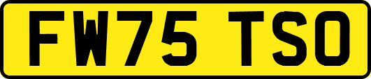 FW75TSO
