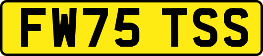 FW75TSS