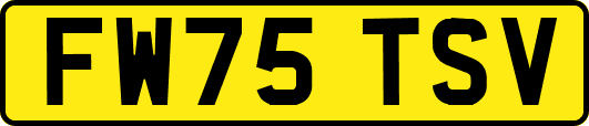 FW75TSV