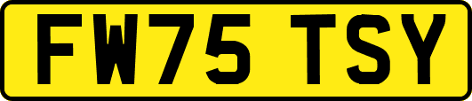 FW75TSY