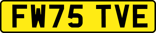 FW75TVE