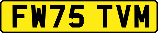 FW75TVM