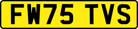 FW75TVS