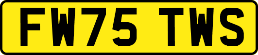 FW75TWS