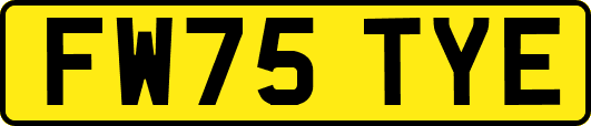 FW75TYE