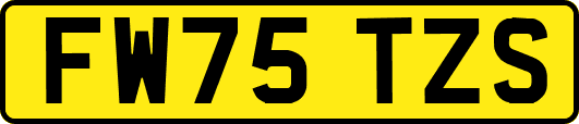 FW75TZS
