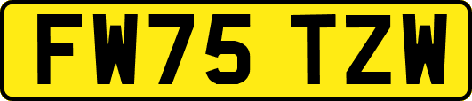 FW75TZW