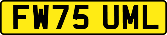 FW75UML
