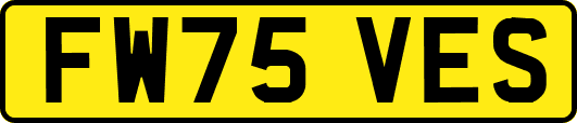 FW75VES
