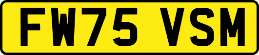 FW75VSM