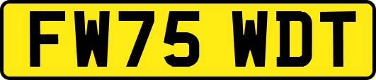 FW75WDT