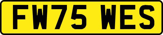FW75WES