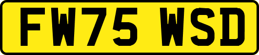 FW75WSD