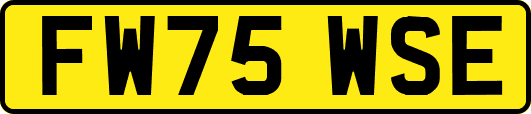 FW75WSE