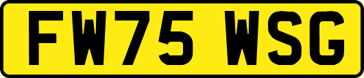 FW75WSG