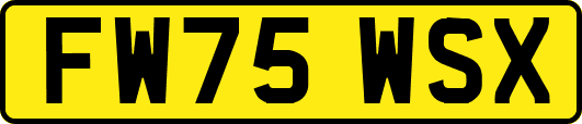 FW75WSX