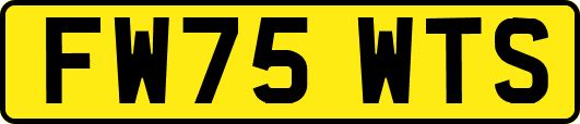FW75WTS