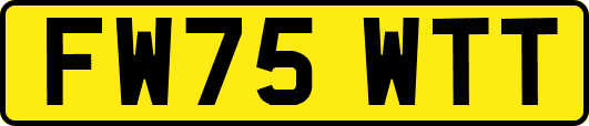 FW75WTT