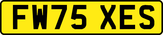 FW75XES