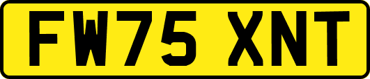 FW75XNT