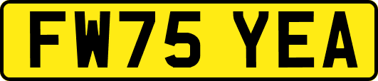 FW75YEA
