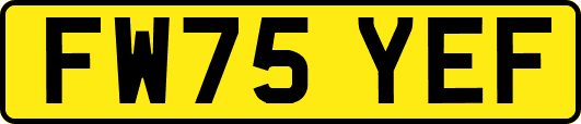 FW75YEF