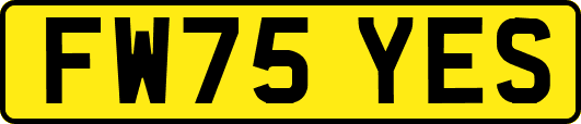 FW75YES