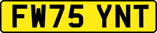 FW75YNT