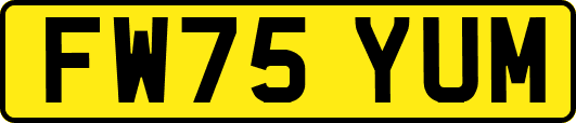 FW75YUM