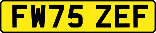 FW75ZEF