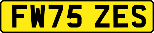FW75ZES