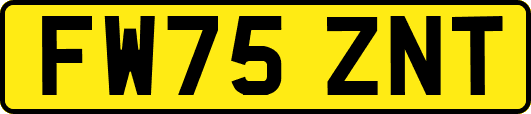 FW75ZNT