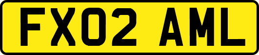 FX02AML
