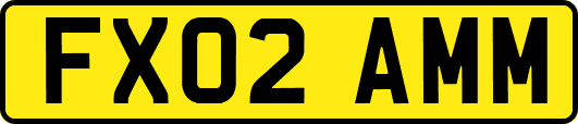 FX02AMM