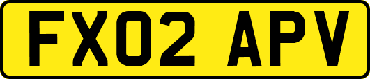 FX02APV
